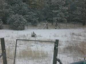 Across the Pasture Gate