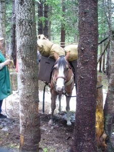 Now How Do I Do This?