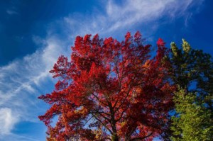 Aspiration Accomplished