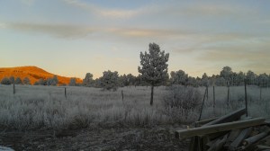 Ice Dance at Sunrise