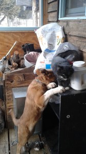 Aw, come on down, please.